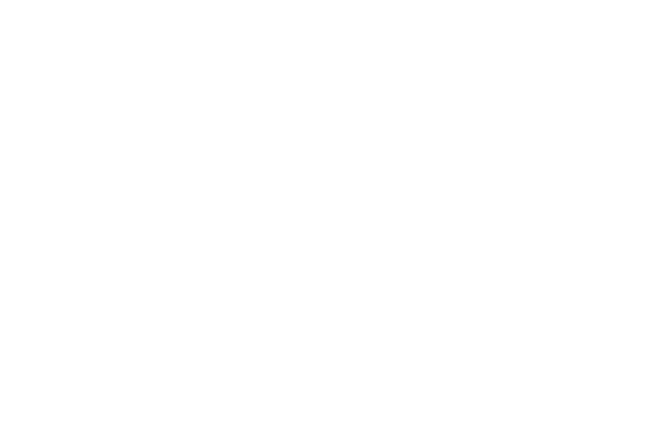 FFL-Logo_no-tag_WHITE